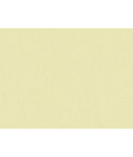Brunschwig & Fils Shots Parchment Fabric