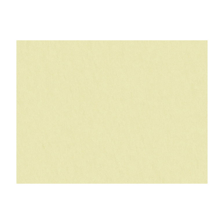 Brunschwig &amp; Fils Shots Parchment Fabric