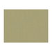 Brunschwig & Fils Shots Greige Dore Fabric