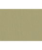 Brunschwig & Fils Shots Greige Dore Fabric