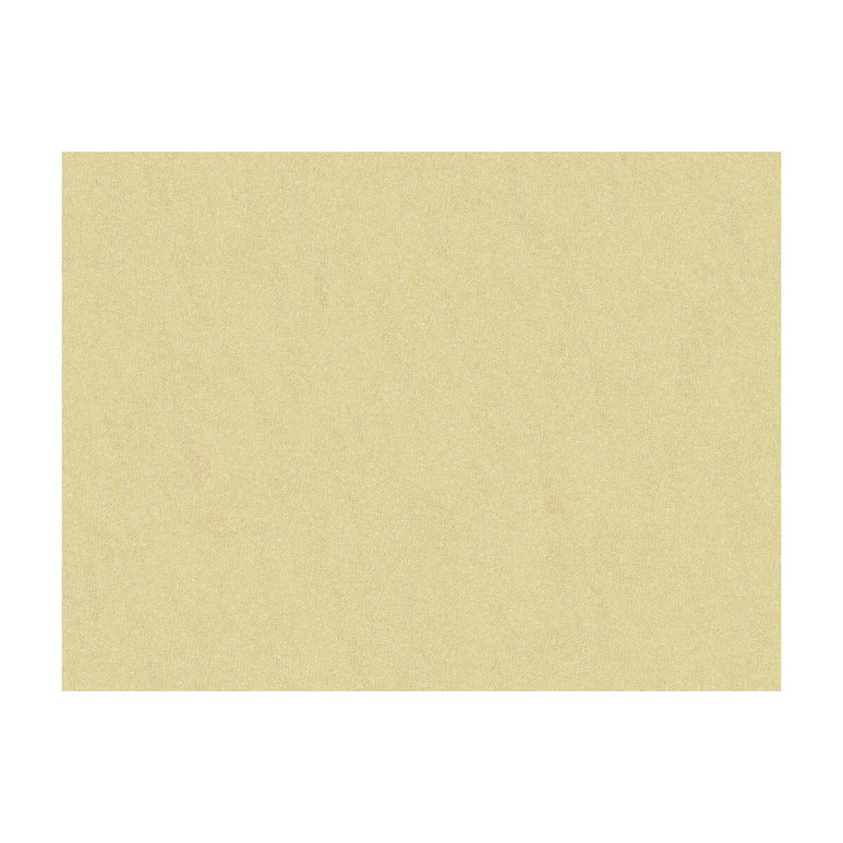 Brunschwig &amp; Fils Shots Gazelle Fabric
