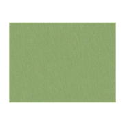 Brunschwig & Fils Shots Tarragon Fabric