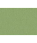 Brunschwig & Fils Shots Tarragon Fabric