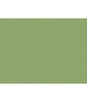 Brunschwig & Fils Shots Tarragon Fabric