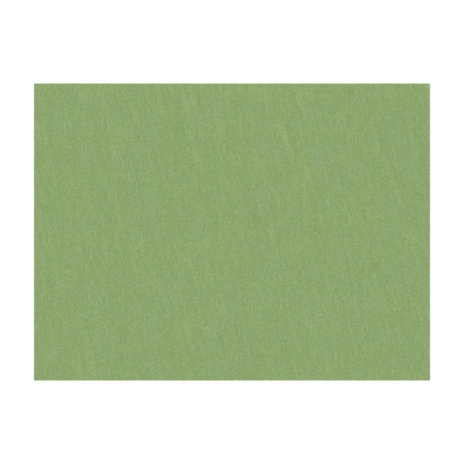 Brunschwig &amp; Fils Shots Tarragon Fabric