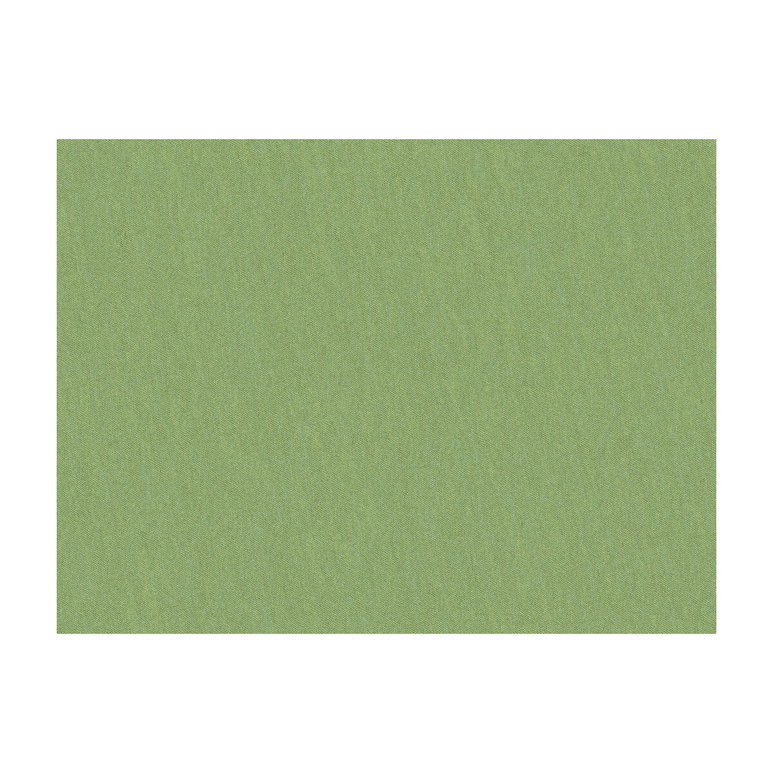 Brunschwig &amp; Fils Shots Tarragon Fabric