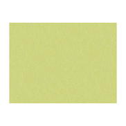 Brunschwig & Fils Shots Citrine Fabric