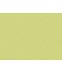Brunschwig & Fils Shots Citrine Fabric