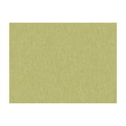 Brunschwig & Fils Shots Thyme Fabric