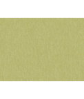 Brunschwig & Fils Shots Thyme Fabric