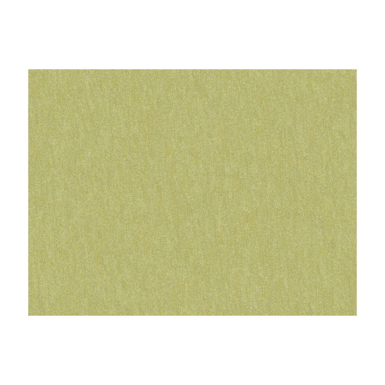 Brunschwig &amp; Fils Shots Thyme Fabric
