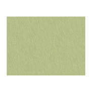 Brunschwig & Fils Shots Marjoram Fabric