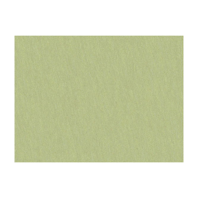 Brunschwig &amp; Fils Shots Marjoram Fabric