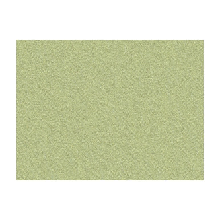 Brunschwig &amp; Fils Shots Marjoram Fabric