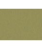 Brunschwig & Fils Shots Jade Fabric
