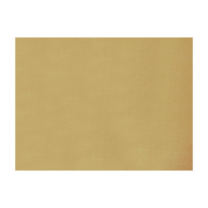 Brunschwig &amp; Fils Shots Noisette Fabric
