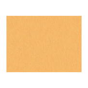 Brunschwig & Fils Shots Curry Fabric