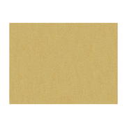 Brunschwig & Fils Shots Vicuna Fabric