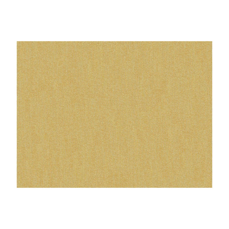 Brunschwig &amp; Fils Shots Vicuna Fabric