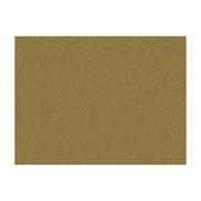 Brunschwig & Fils Shots Cuir Fabric