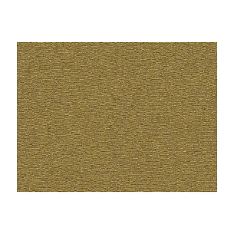 Brunschwig &amp; Fils Shots Cuir Fabric