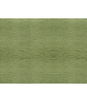 Brunschwig & Fils Roma Pino Fabric