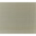 Brunschwig & Fils Silk Twist Platinum Fabric
