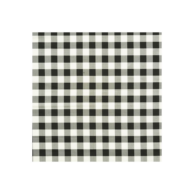 Brunschwig &amp; Fils Fanfare Ebony Fabric