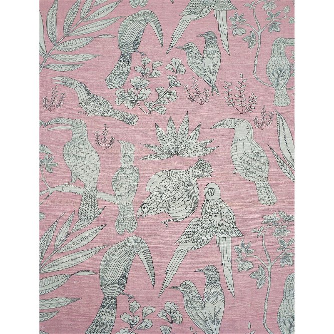 Brunschwig &amp; Fils Silk Bird Du Barry Pink Fabric