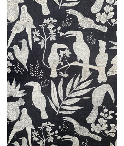 Brunschwig & Fils Silk Bird Ebony Fabric