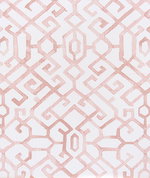 Premier Prints Jing Blush Slub Canvas