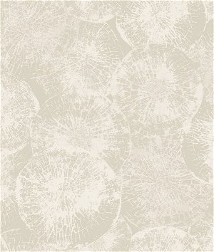 Seabrook Designs Eren Dove gray Wallpaper