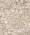 Seabrook Designs Vespucci Map Tan & Gold Wallpaper