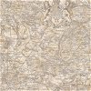 Seabrook Designs Vespucci Map Tan & Gold Wallpaper - Image 1
