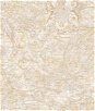Seabrook Designs Vespucci Map Beige & Gold Wallpaper
