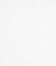 Fabric Traditions Philadelphia Eagles NFL Fleece Fabric