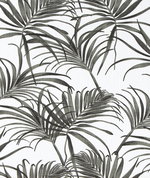 Premier Prints Karoo Raven Slub Canvas