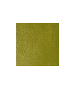 Kravet Kerinci Wasabi Fabric