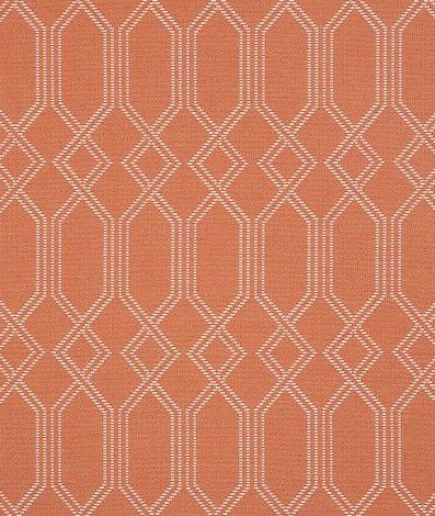 Sunbrella Connection Guava Fabric