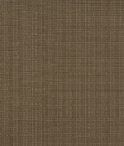 Sunbrella Linen Taupe Fabric