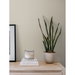 Seabrook Designs Spiro Geometric Pearl Grey Wallpaper thumbnail image 2 of 2