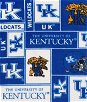 Kentucky Wildcats Allover NCAA Fleece Fabric