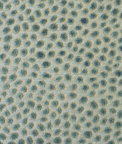 Baker Lifestyle Cosma Teal/Aqua Fabric
