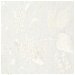 Ralph Lauren Apsley House Embroidery Vellum Fabric thumbnail image 5 of 5