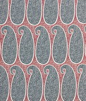 Gastón y Daniela Yaiza Rojo/Azul Fabric