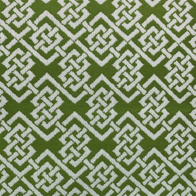 Gast&#243;n y Daniela Ephraim Verde Fabric