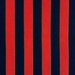 Gastón y Daniela Benjamin Rojo/Navy Fabric