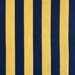 Gastón y Daniela Benjamin Amarillo/Navy Fabric