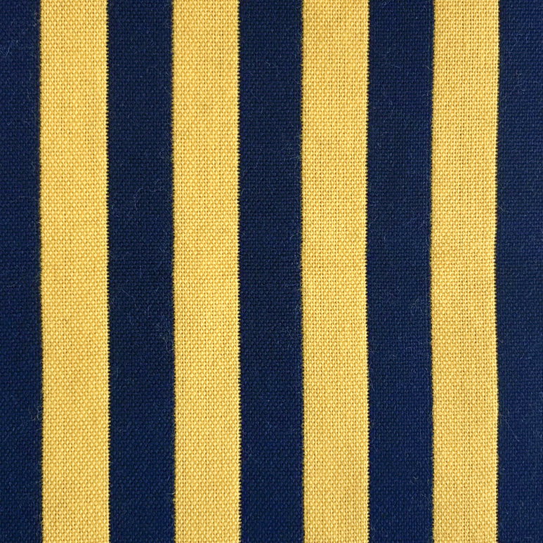 Gastón y Daniela Benjamin Amarillo/Navy Fabric