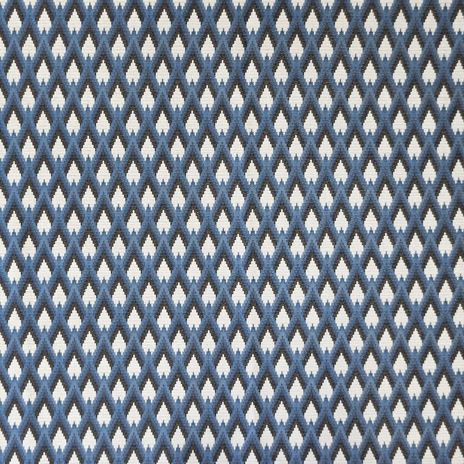 Gast&#243;n y Daniela Peruyes Azul Fabric
